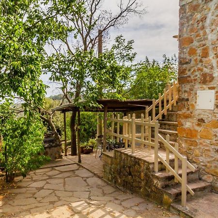 Vila Quercia Grossa Roccastrada Exteriér fotografie